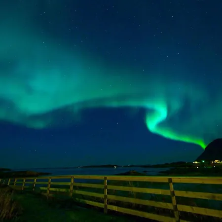 Bird View Lofoten