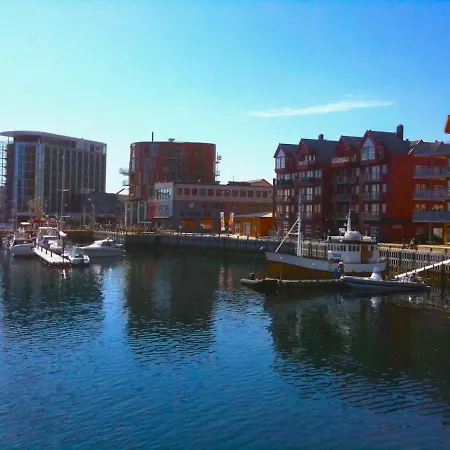 Bird View Lofoten