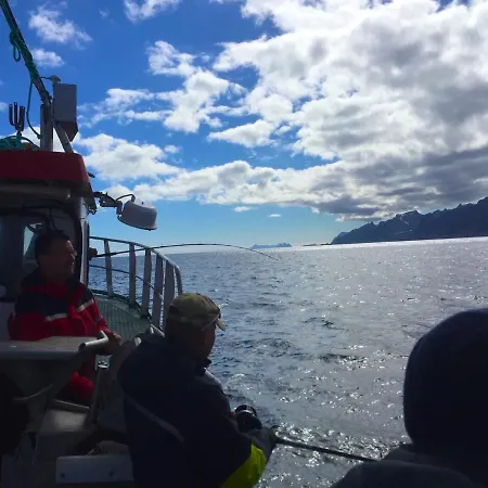 Bird View Lofoten Chalet *