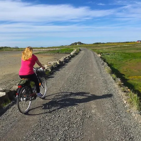 Chalet Bird View Lofoten Bostad