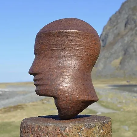 Bird View Lofoten *
